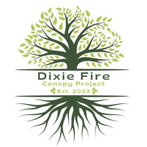 Dixie Fire Canopy Project